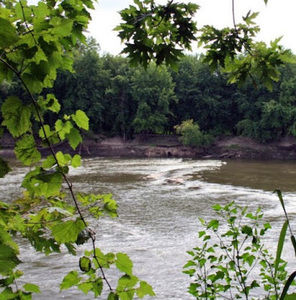 Meet your Posher, Caveena